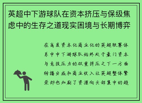 英超中下游球队在资本挤压与保级焦虑中的生存之道现实困境与长期博弈